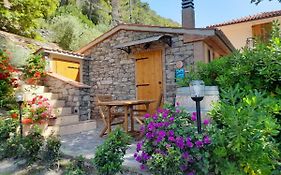 Holiday Home Home Relax By Interhome